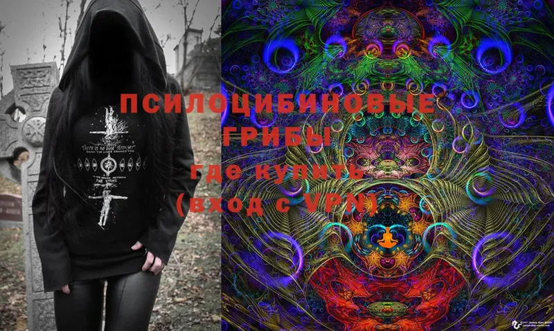 Псилоцибиновые грибы Cubensis  Кремёнки 