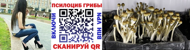 Галлюциногенные грибы MAGIC MUSHROOMS  купить   Кремёнки 
